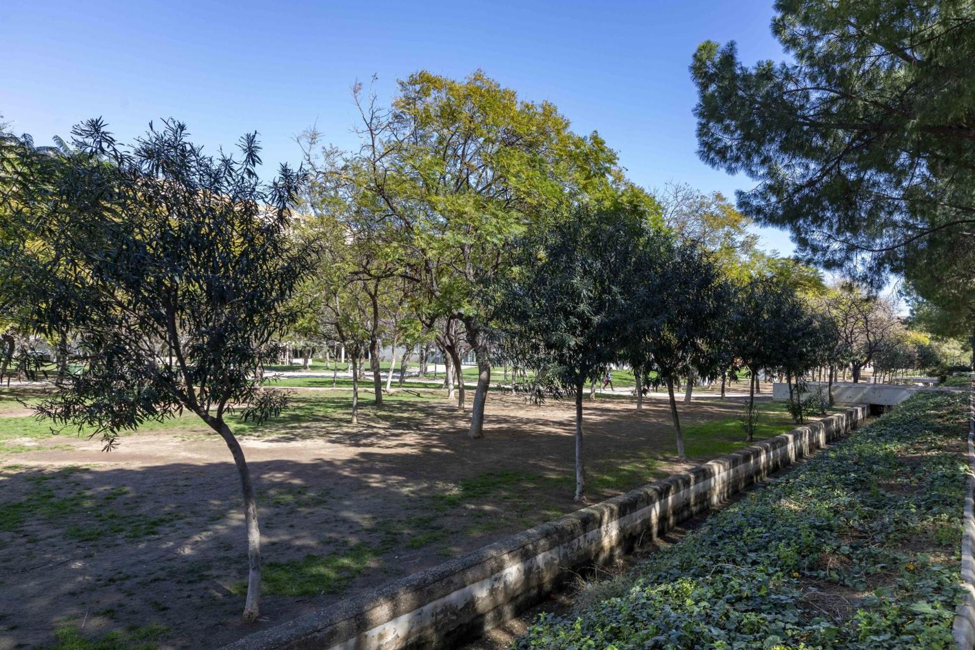 Apartup Turia River Park 瓦伦西亚 外观 照片